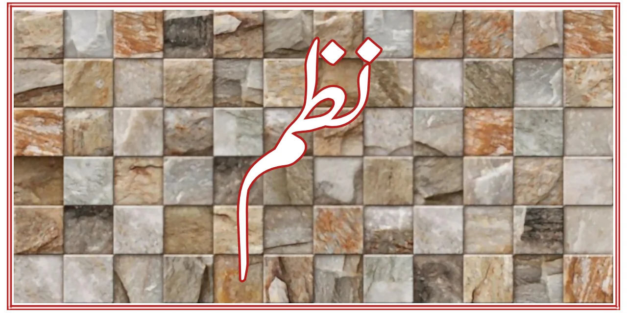 نظم