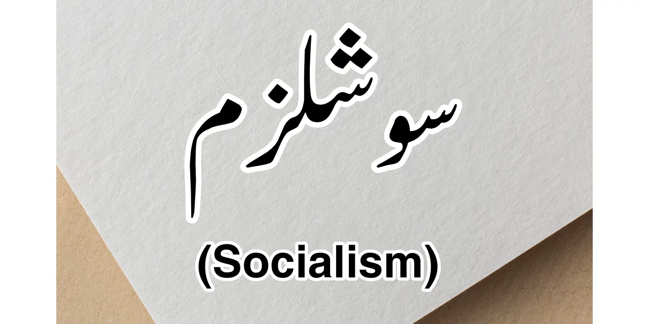 سوشلزم کیا ہے…؟