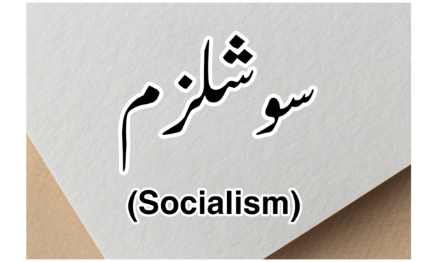 سوشلزم کیا ہے…؟