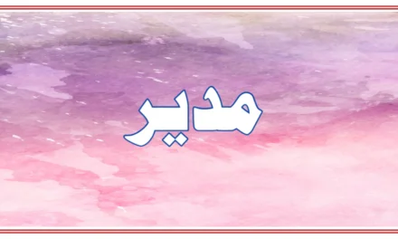 مدیر یا ایڈیٹر کیا ہے؟