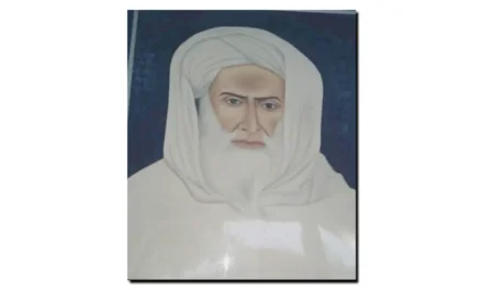 کچھ حاجی صاحب ترنگ زئی کے بارے میں