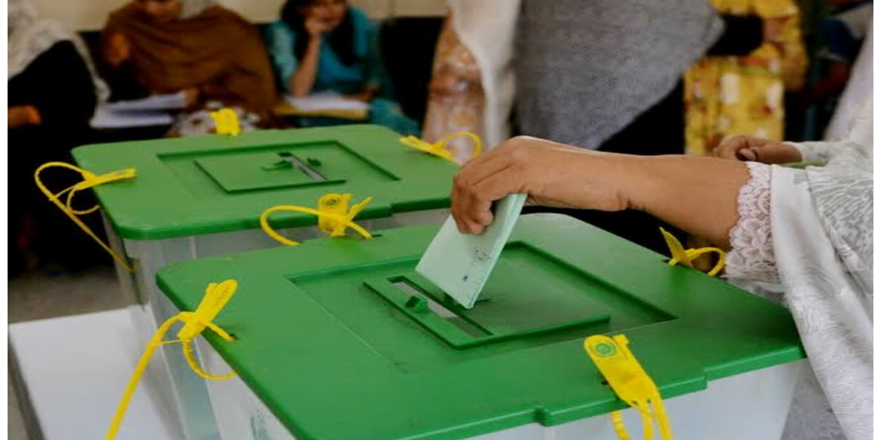 بلدیاتی انتخابات، پشاور اور مردان میں اے این پی نے میدان مار لیا