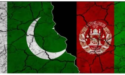 برادرکُشی کی سازش