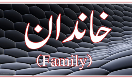 خاندان کیا ہے…؟