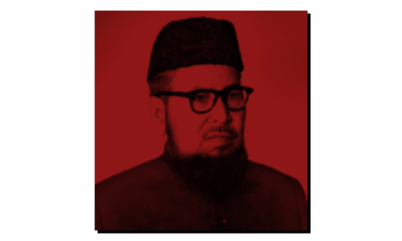 مولوی تمیز الدین خان کیس