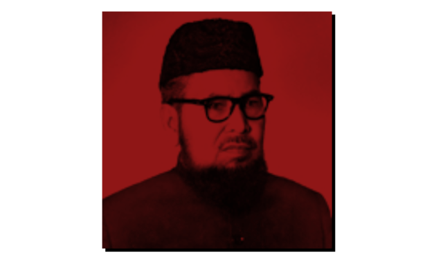 مولوی تمیز الدین خان کیس