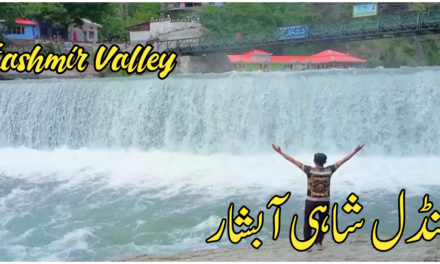 وادئ کشمیر کے پہاڑوں میں واقع "کنڈل شاہی” آبشار کا ایک خوب صورت نظارہ