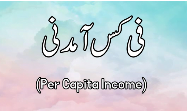 فی کس آمدنی (Per Capita Income) سے کیا مراد ہے؟