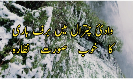 وادئ چترال میں برف باری کا ایک خوب صورت نظارہ