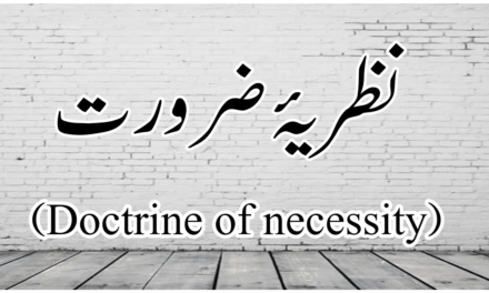 نظریۂ ضرورت، تعارف اور ابتدا