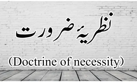 نظریۂ ضرورت سے کیا مراد ہے؟