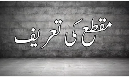 مقطع کی تعریف
