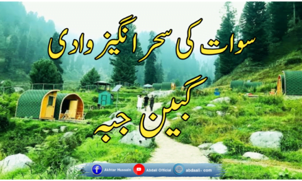 سوات کی سحر انگیز وادئ گبین جبہ