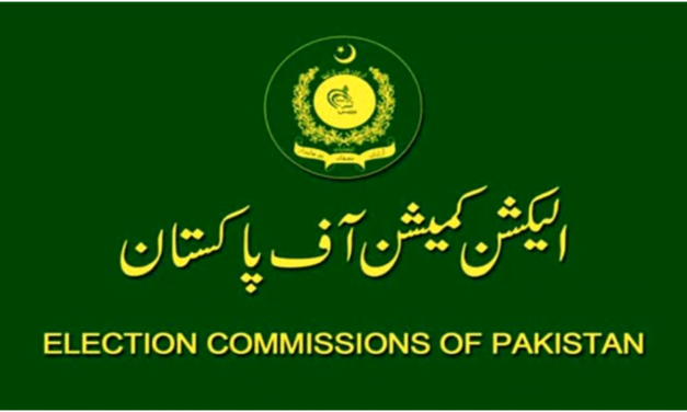 الیکشن کمیشن نے قومی اور صوبائی اسمبلیوں کی نئی حلقہ بندیاں جاری کردیں
