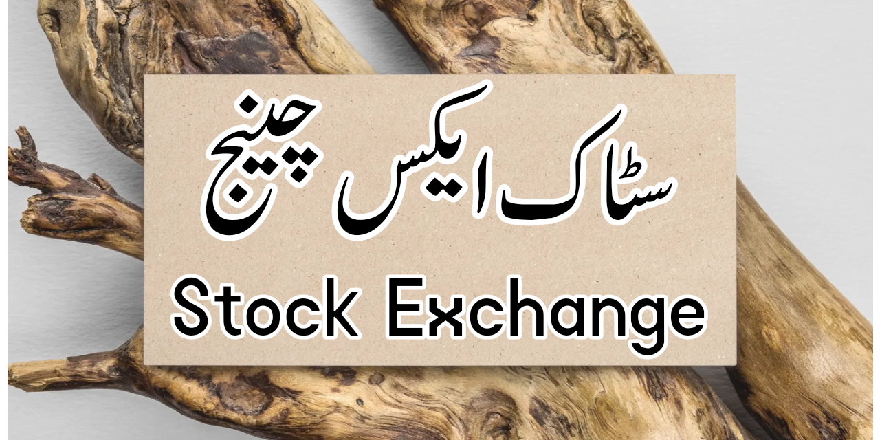 سٹاک ایکس چینج کیا ہے…؟