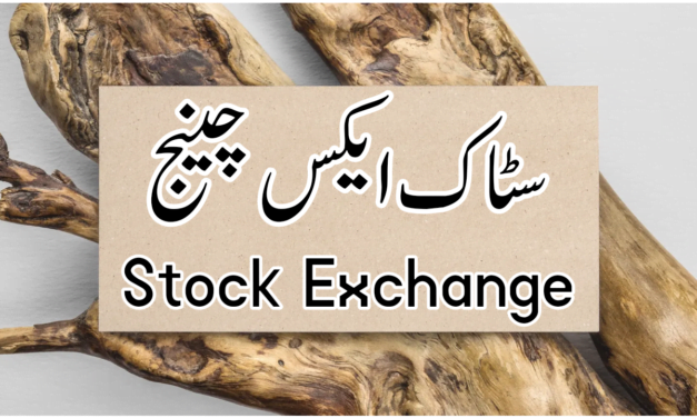 سٹاک ایکس چینج کیا ہے…؟