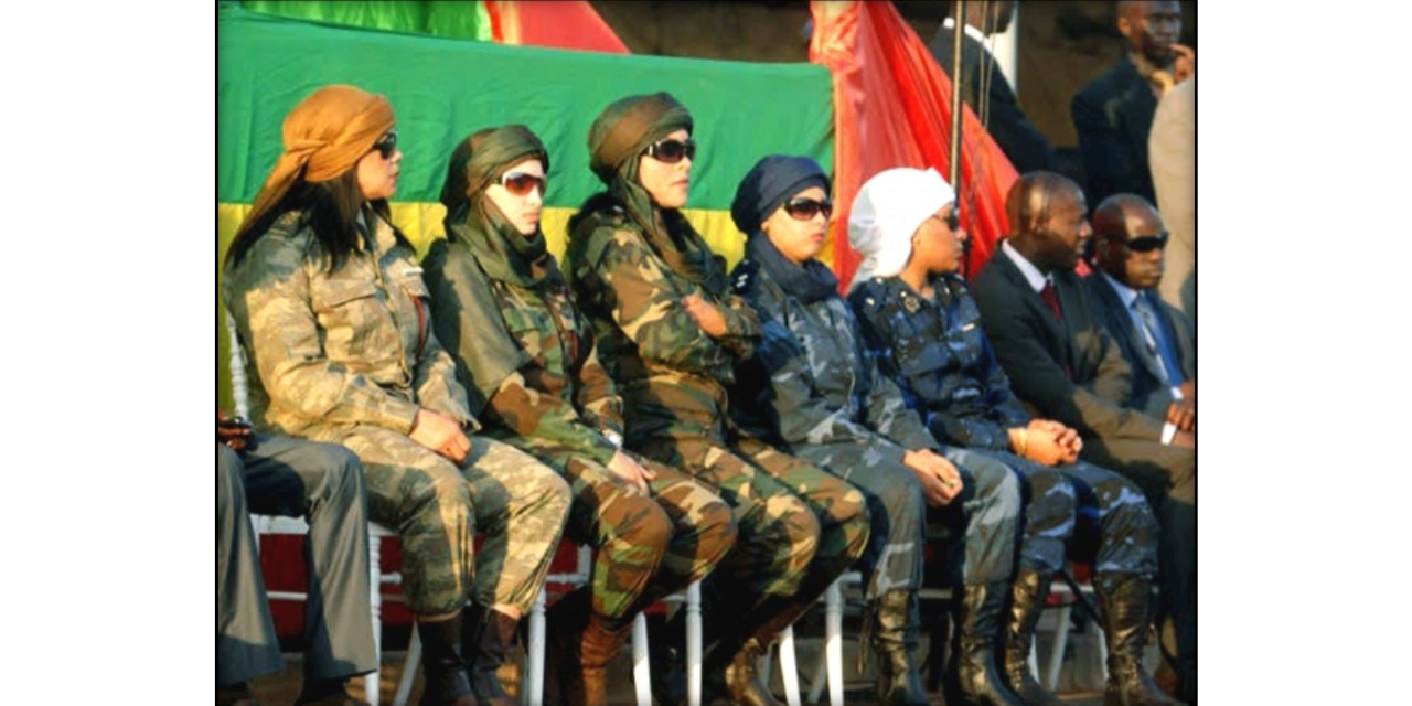 ایمازونین گارڈ (Amazonian Gaurd)