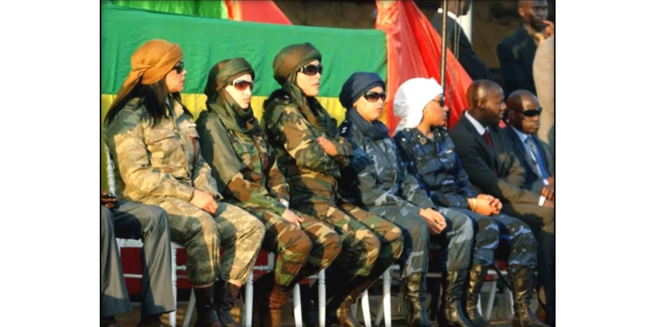 ایمازونین گارڈ (Amazonian Gaurd)
