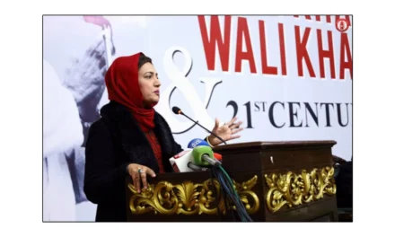 باچا خان، عاصمہ شیرازی کی نظر میں