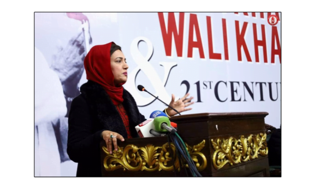 باچا خان، عاصمہ شیرازی کی نظر میں