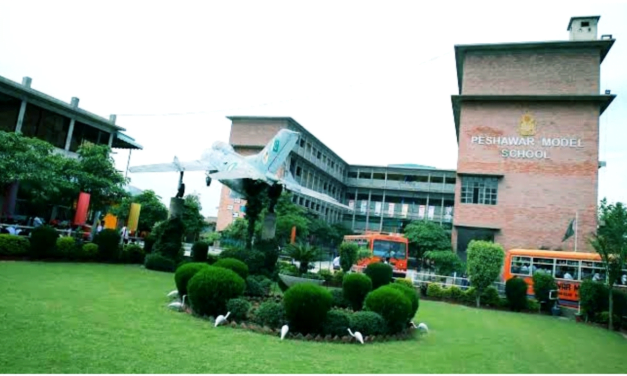 پشاور کے نجی سکول میں مادری زبان پشتو بولنے پر طلبہ پر 100 روپے جرمانہ