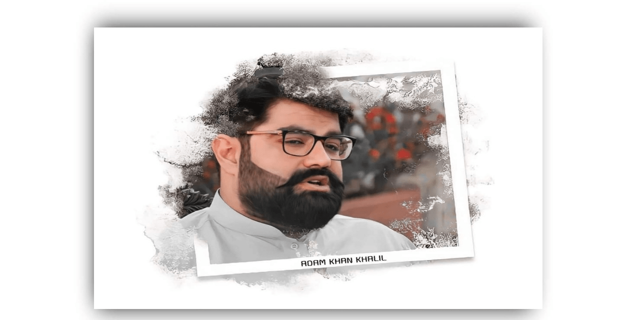 ایمل ولی خان کے چار سالہ صوبائی صدارت کا مختصر جایزہ