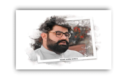 ایمل ولی خان کے چار سالہ صوبائی صدارت کا مختصر جایزہ