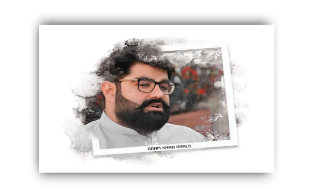 ایمل ولی خان کے چار سالہ صوبائی صدارت کا مختصر جایزہ