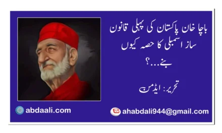 باچا خان پاکستان کی پہلی دستور ساز اسمبلی کا حصہ کیوں بنے؟