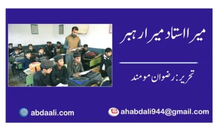 میرا استاد میرا رہبر