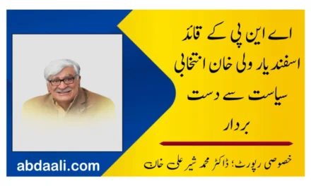 اے این پی کے قائد اسفندیار ولی خان انتخابی سیاست سے دست بردار