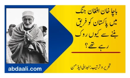 باچا خان افغان جنگ میں پاکستان کو فریق بننے سے کیوں روک رہے تھے؟