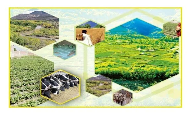 ہمارے وسائل ہماری بچوں کی امانت
