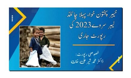 خیبر پختون خوا، چائلڈ لیبر سروے 2023ء کی رپورٹ جاری