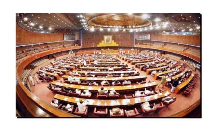 پاکستان کی نئی قومی اسمبلی میں نوجوان ارکان 04 فی صد سے بھی کم