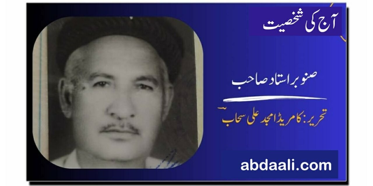 صنوبر استاد صاحب