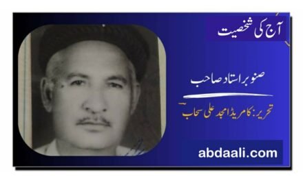 صنوبر استاد صاحب