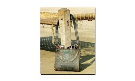 "کسپت” ایک بھولی بسری یاد