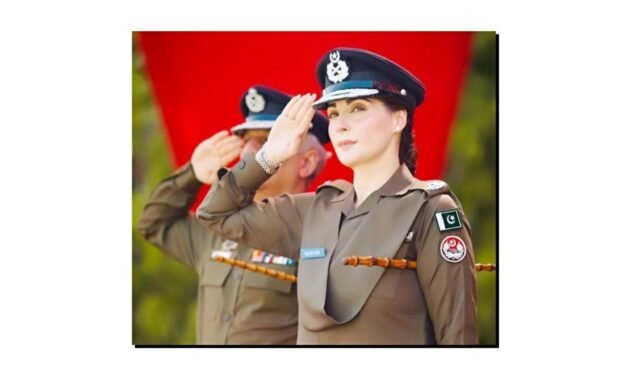 تحریکِ انصاف کا اینٹی مریم سیاست