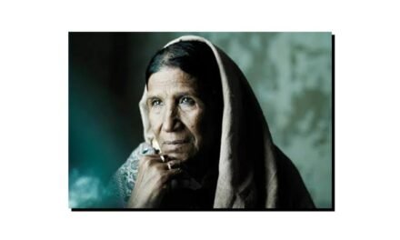 بلبلِ پختون خوا، زرسانگہ