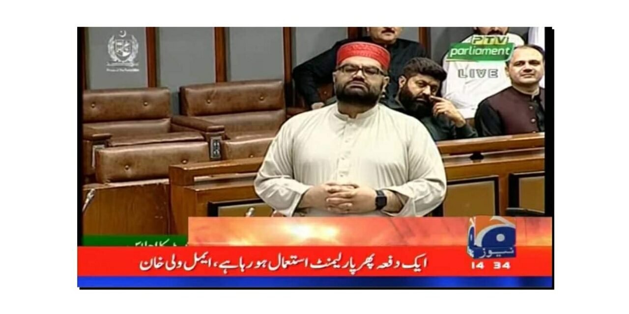 سینیٹ میں ایمل ولی خان کی پہلی تقریر کو سنسرشپ کی وجہ سے تمام نیوز چینل سے ہٹا دی گئی