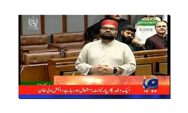 سینیٹ میں ایمل ولی خان کی پہلی تقریر کو سنسرشپ کی وجہ سے تمام نیوز چینل سے ہٹا دی گئی