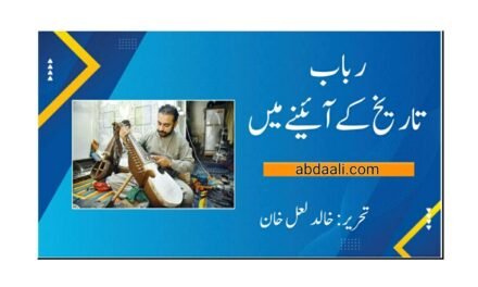 رباب تاریخ کے آئینے میں