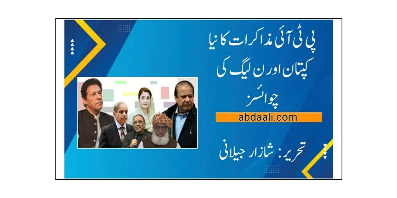 پی ٹی آئی مذاکرات کا نیا کپتان اور ن لیگ کی چوائسز