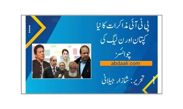 پی ٹی آئی مذاکرات کا نیا کپتان اور ن لیگ کی چوائسز