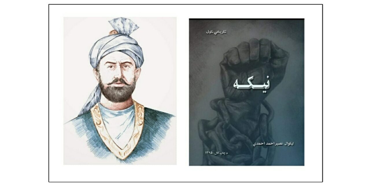 نيکه ناول (تبصرہ)