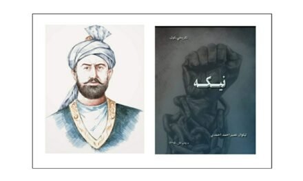 نيکه ناول (تبصرہ)