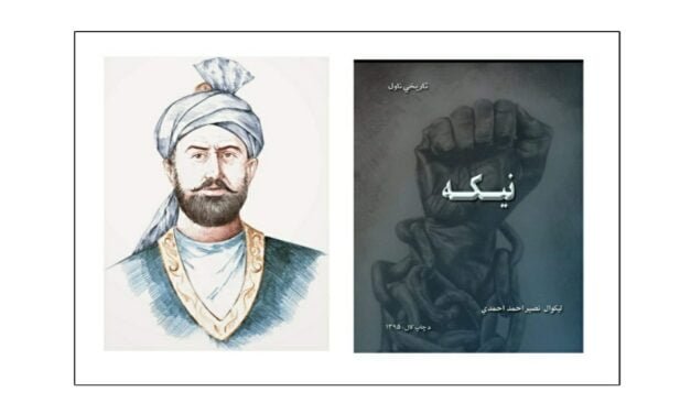 نيکه ناول (تبصرہ)