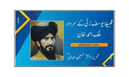 قبیلۂ یوسف زئی کے سردار ملک احمد خان