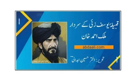 قبیلۂ یوسف زئی کے سردار ملک احمد خان